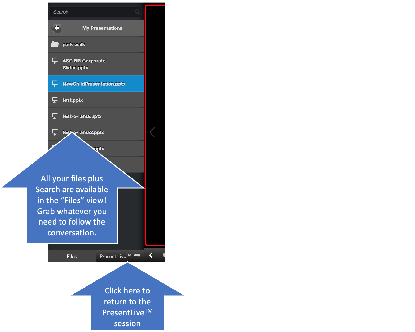 PresentLive Presenter's view - looking for files