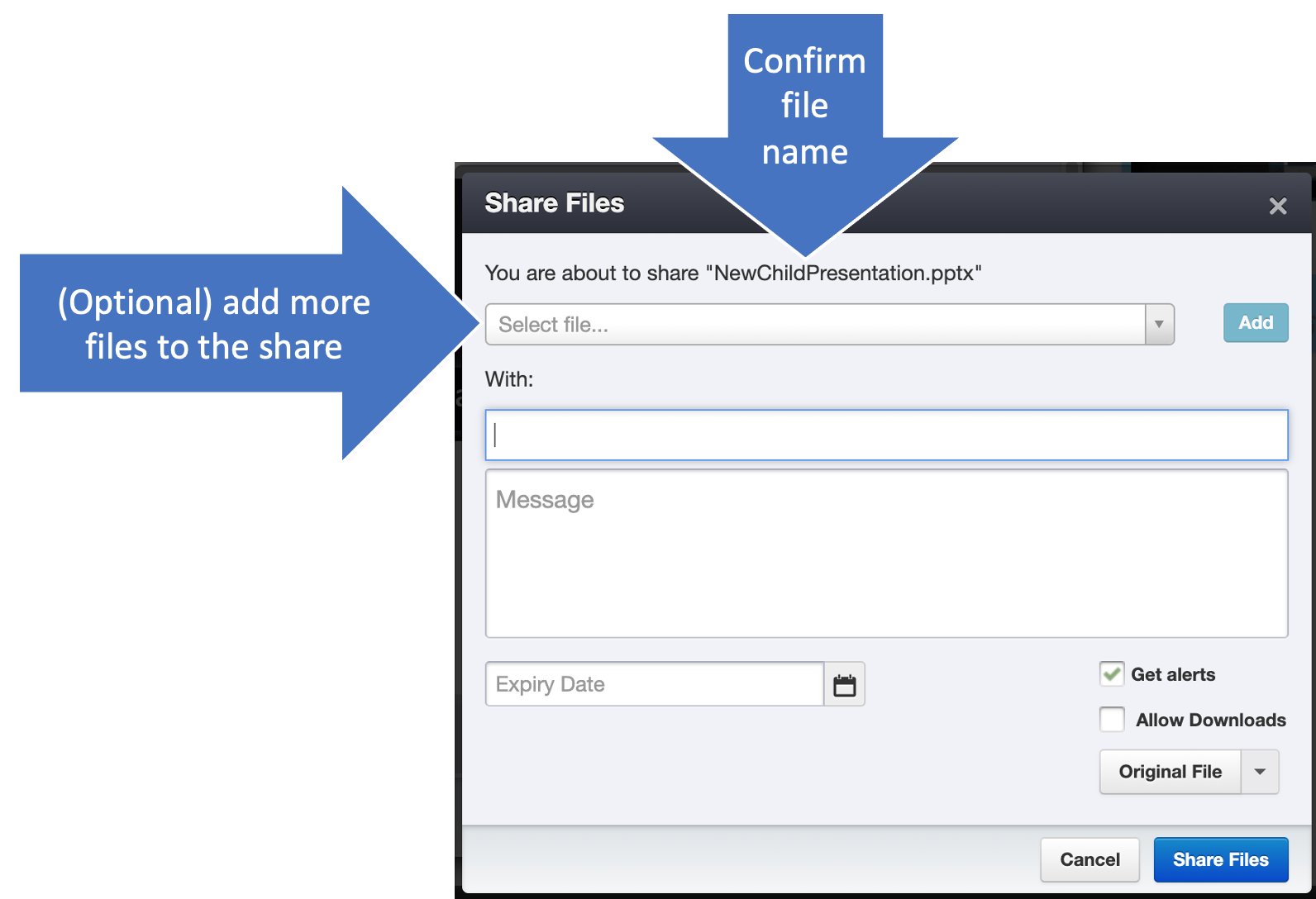 file-sharing-shufflrr-how-to